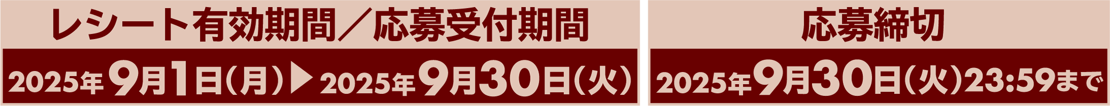 レシート有効期間／応募受付期間　応募締切